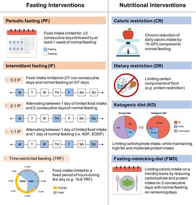 Understanding Dietary Intervention-Mediated Epigenetic Modifications in Metabolic Diseases